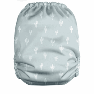 מאמא קואלה קולמקס קקטוסים