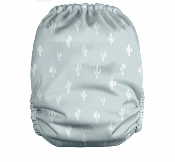 מאמא קואלה קולמקס קקטוסים